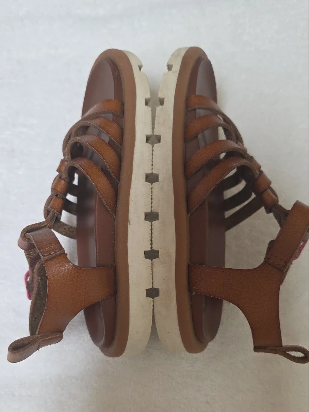 wonder nation cute brown